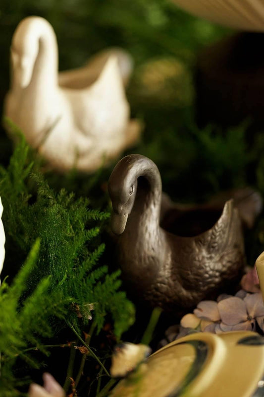 Small Black Swan