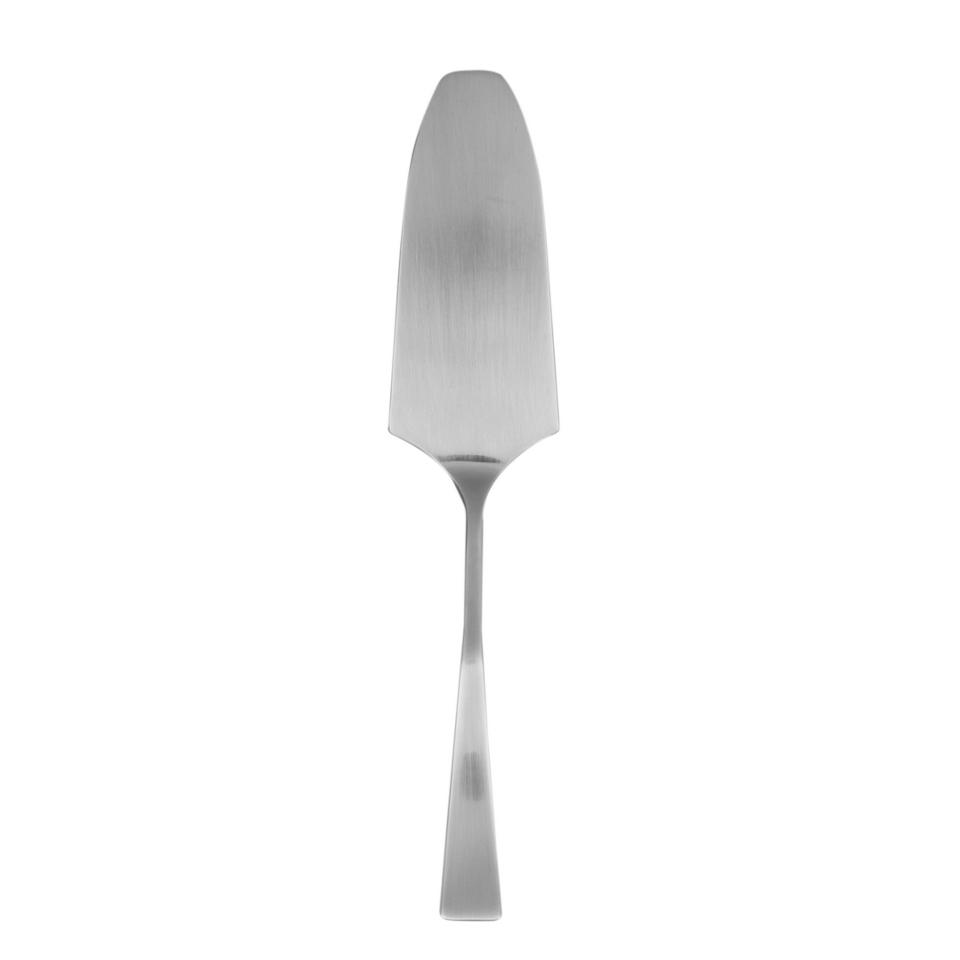Cake Server Ice