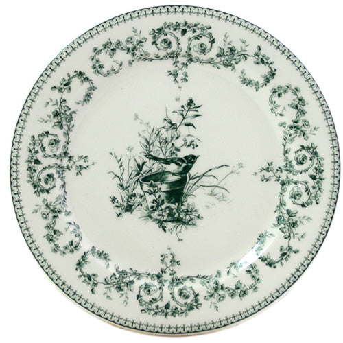 Oiseau Coaster