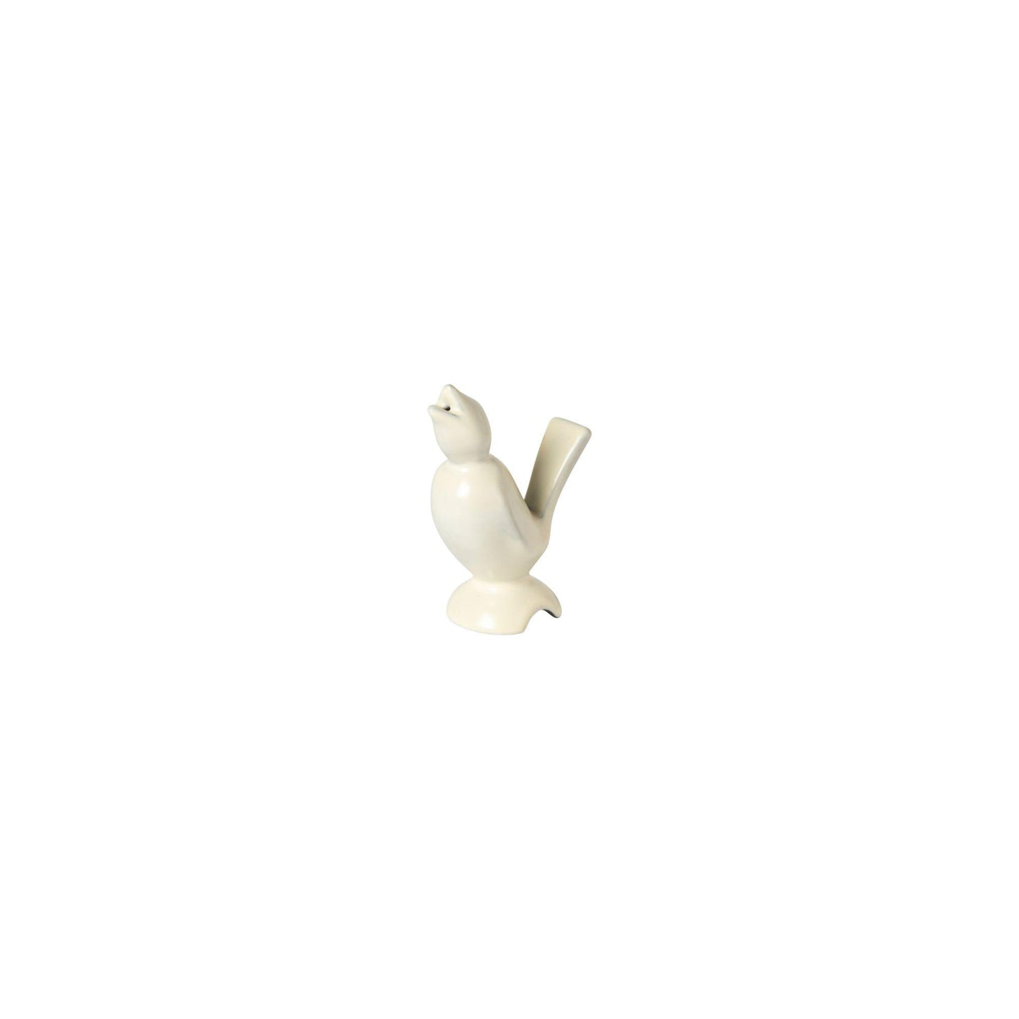 Bird, Salt