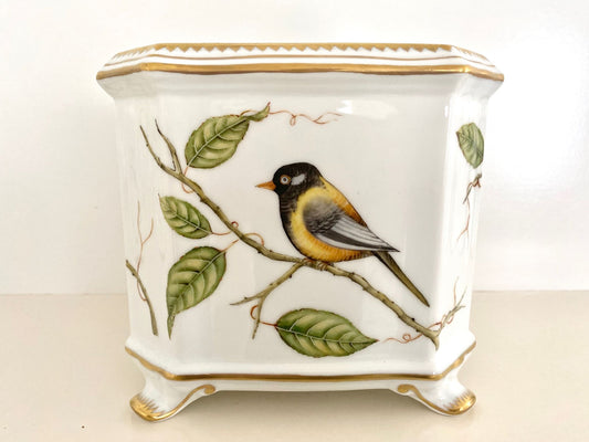 Square Cachepot - Yellow Bird