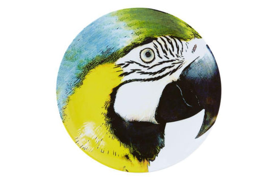 Charger Plate Yellow Bellied Macaw