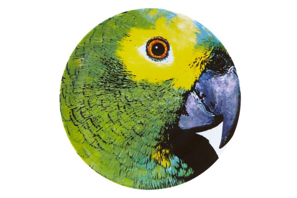 Charger Plate Parrot