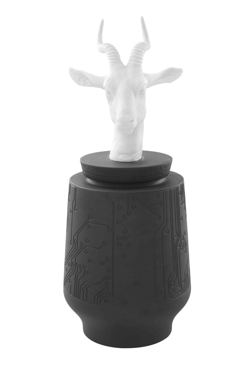 Dama Gazelle Box