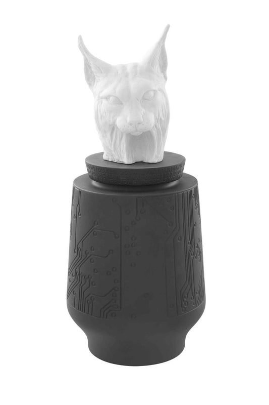 Iberan Lynx Box