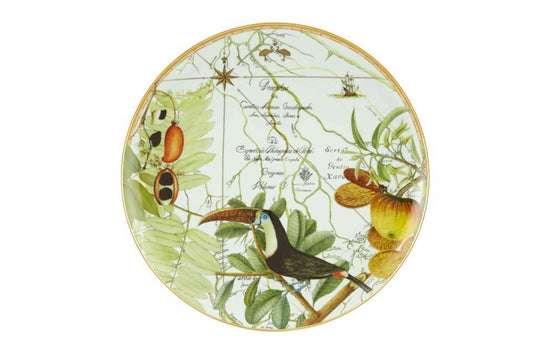 Plate Xl