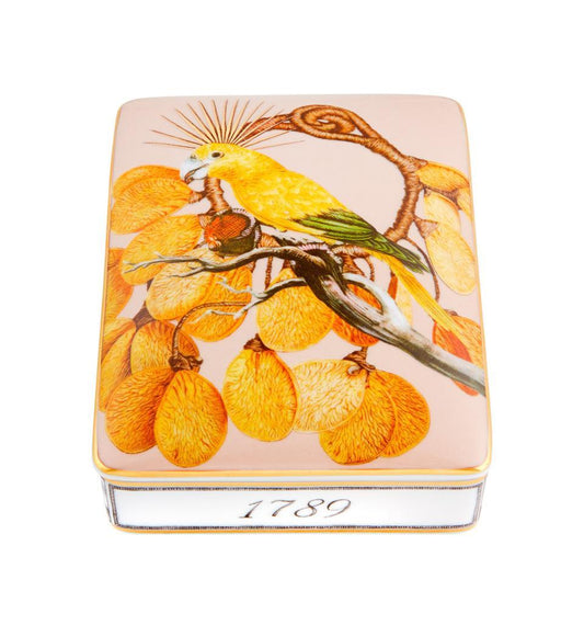 Card Box Ã¢ÂÂ Lighter