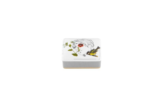 American Box Ã¢ÂÂ Marybelle