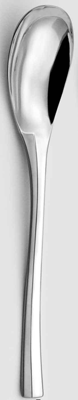 Serving Spoon