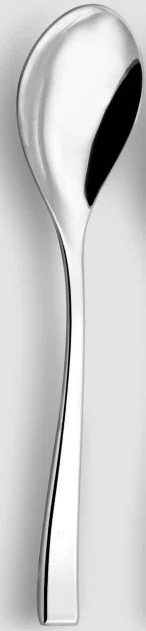 Stainless Serving Spoon