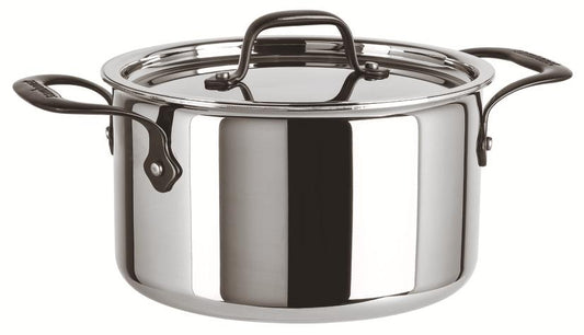 Sauce Pot w/Lid 2 Hdls - 9 1/2 in 6 qt