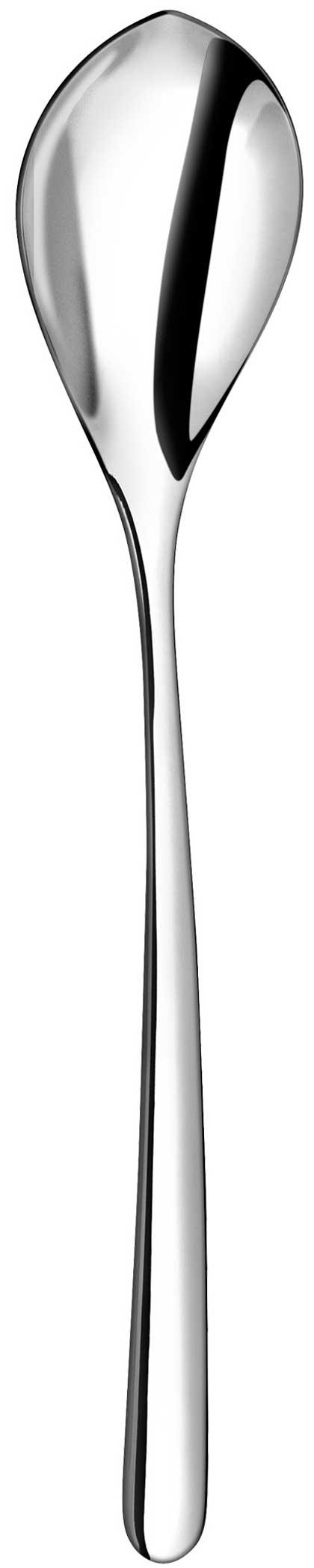 Dessert/Soup Spoon