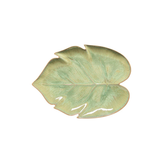 Monstera leaf