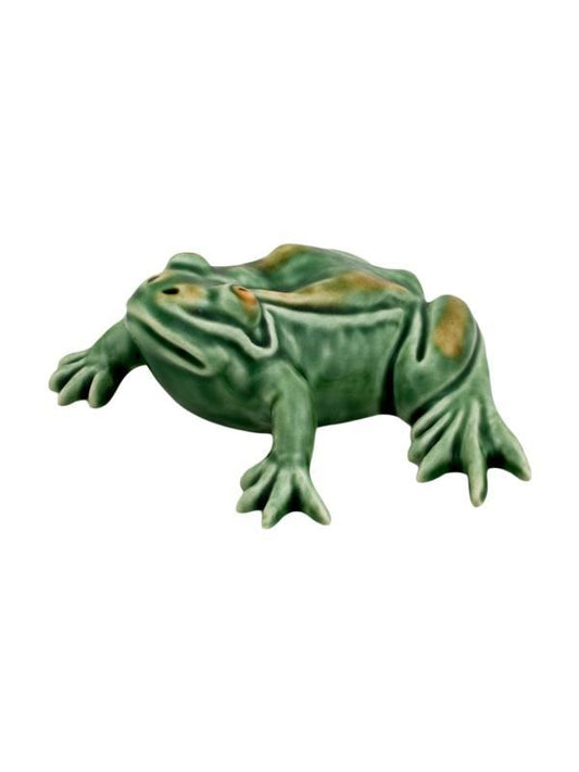 Small Frog 13