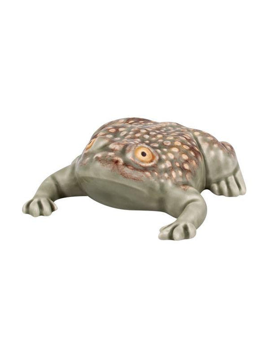 Large Toad 11