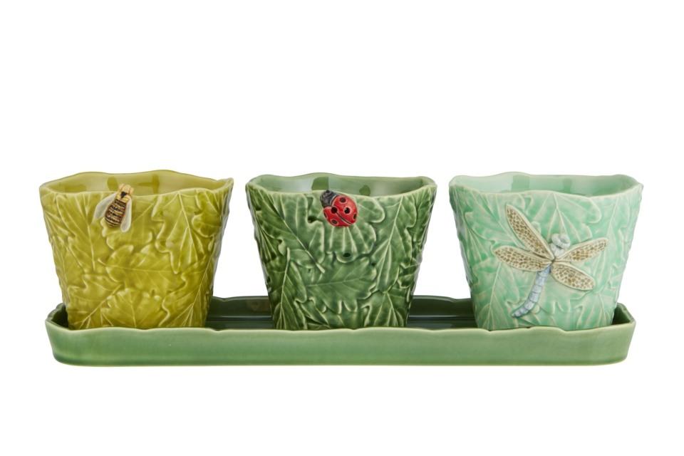 Set of Vases with Flying Bugs
