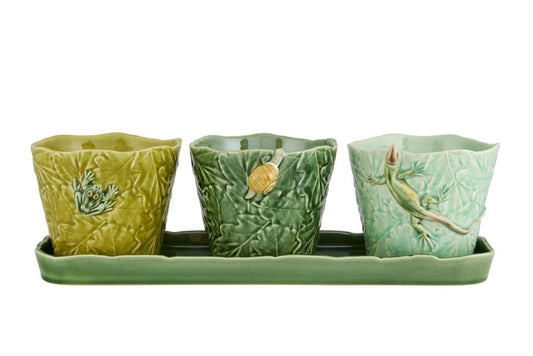Set of Vases with Earth Bugs