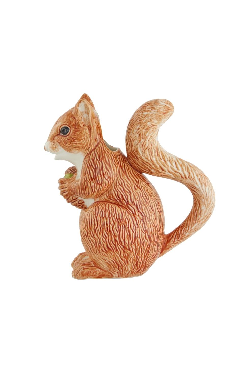 Pitcher Squirrel