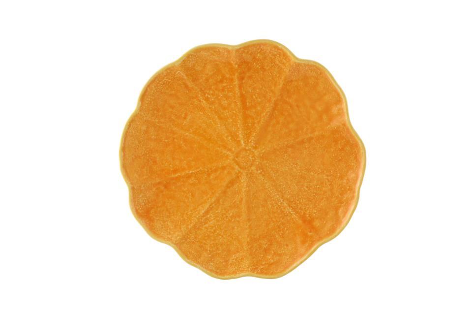 Dinner Plate