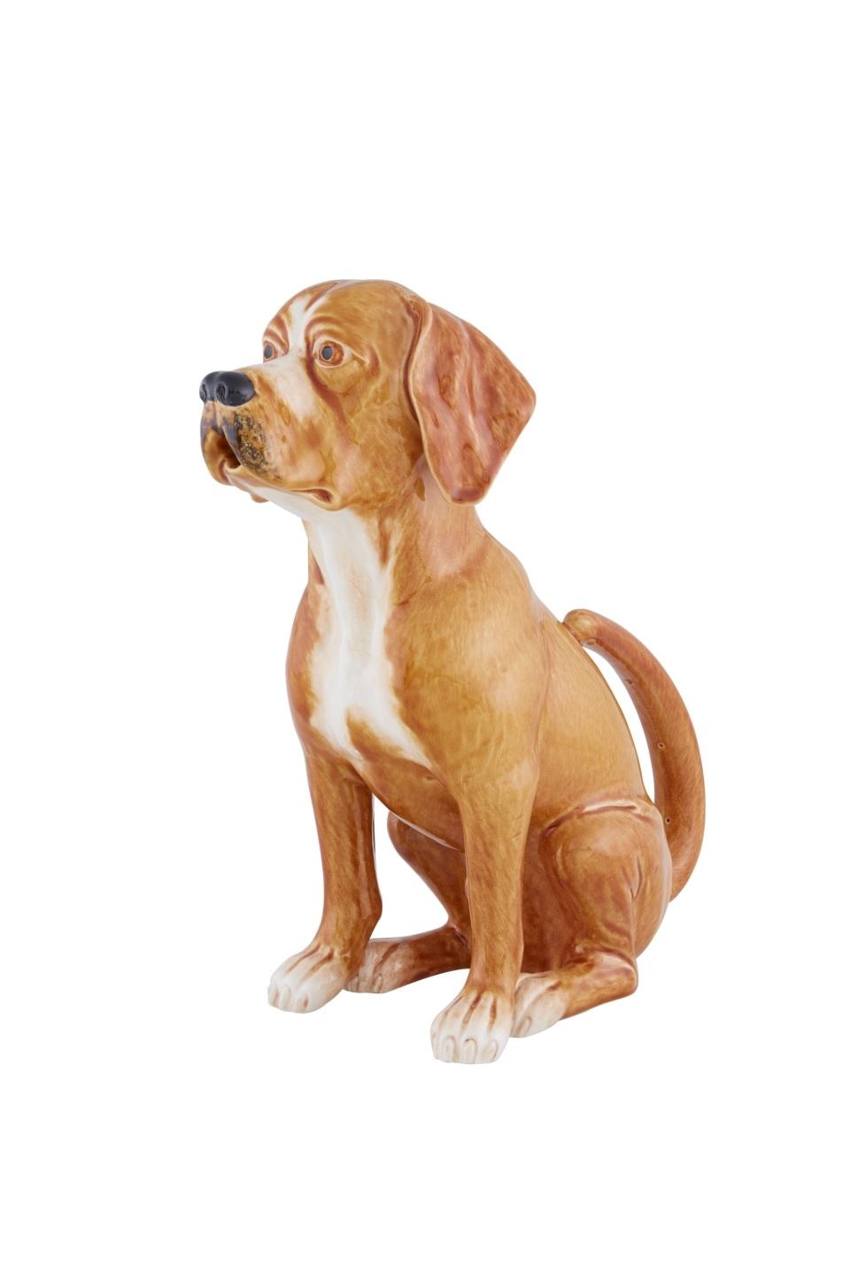Brown Dog