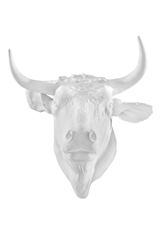 Bull Head