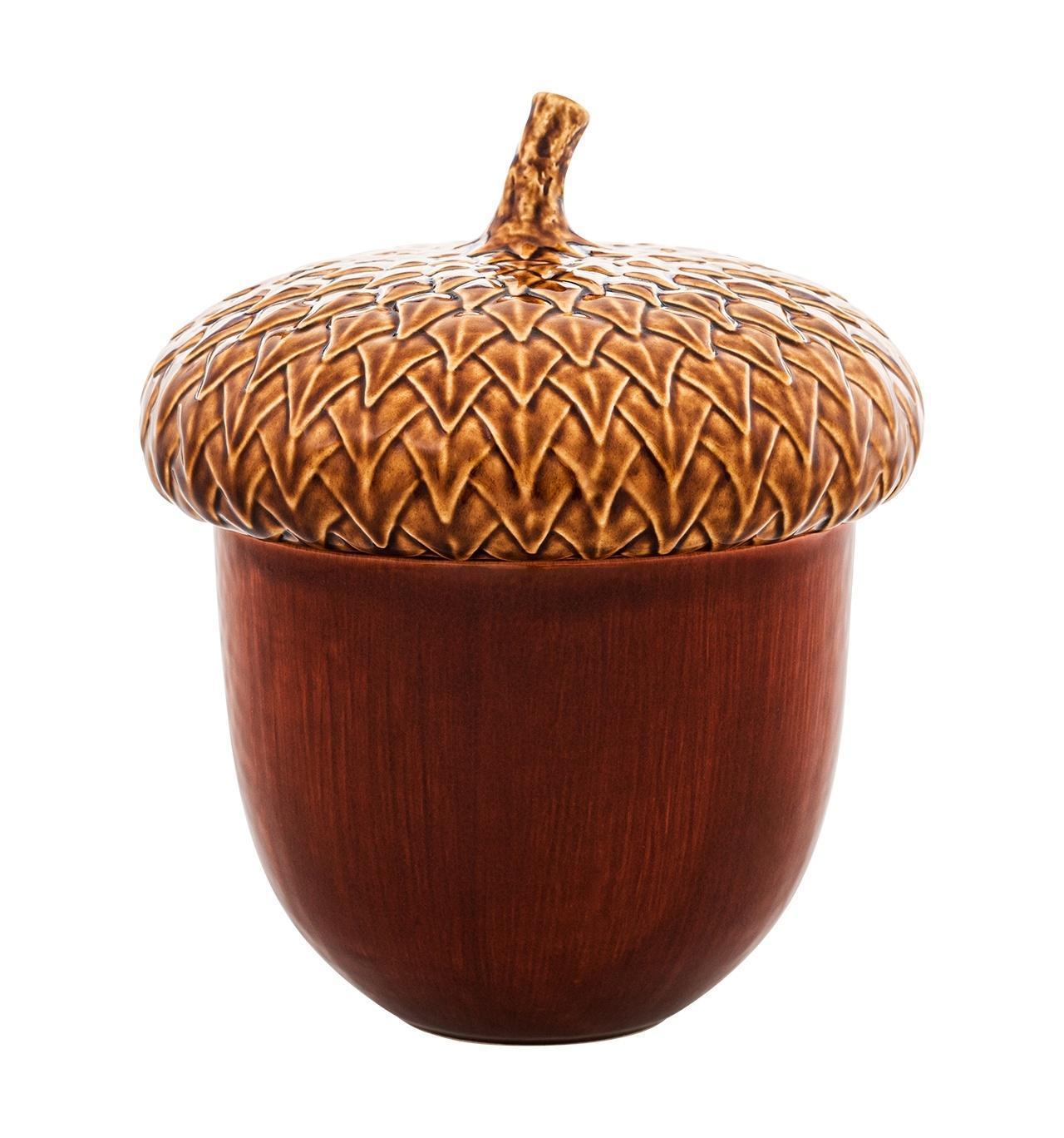Large Acorn Box
