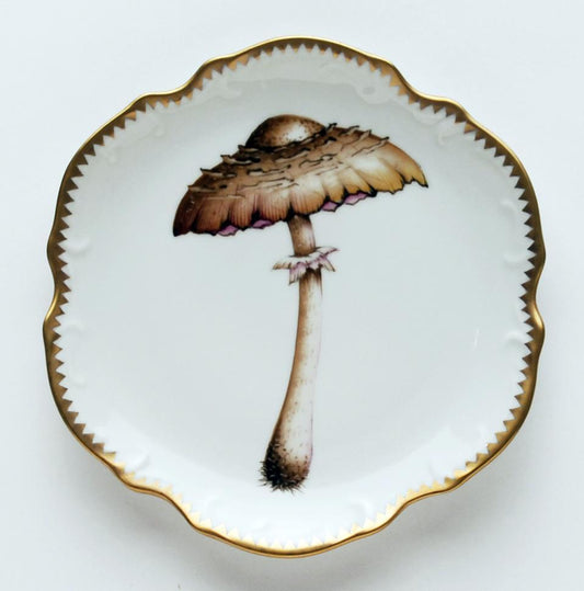 Mushroom #4 Hors D'Oeuvre Plate