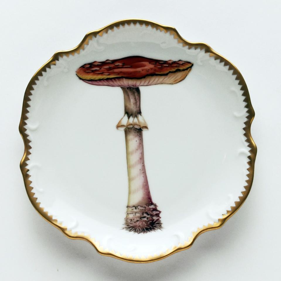 Mushroom #6 Hors D'Oeuvre Plate