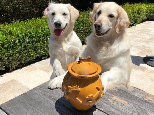 Treat Jar - Caramel