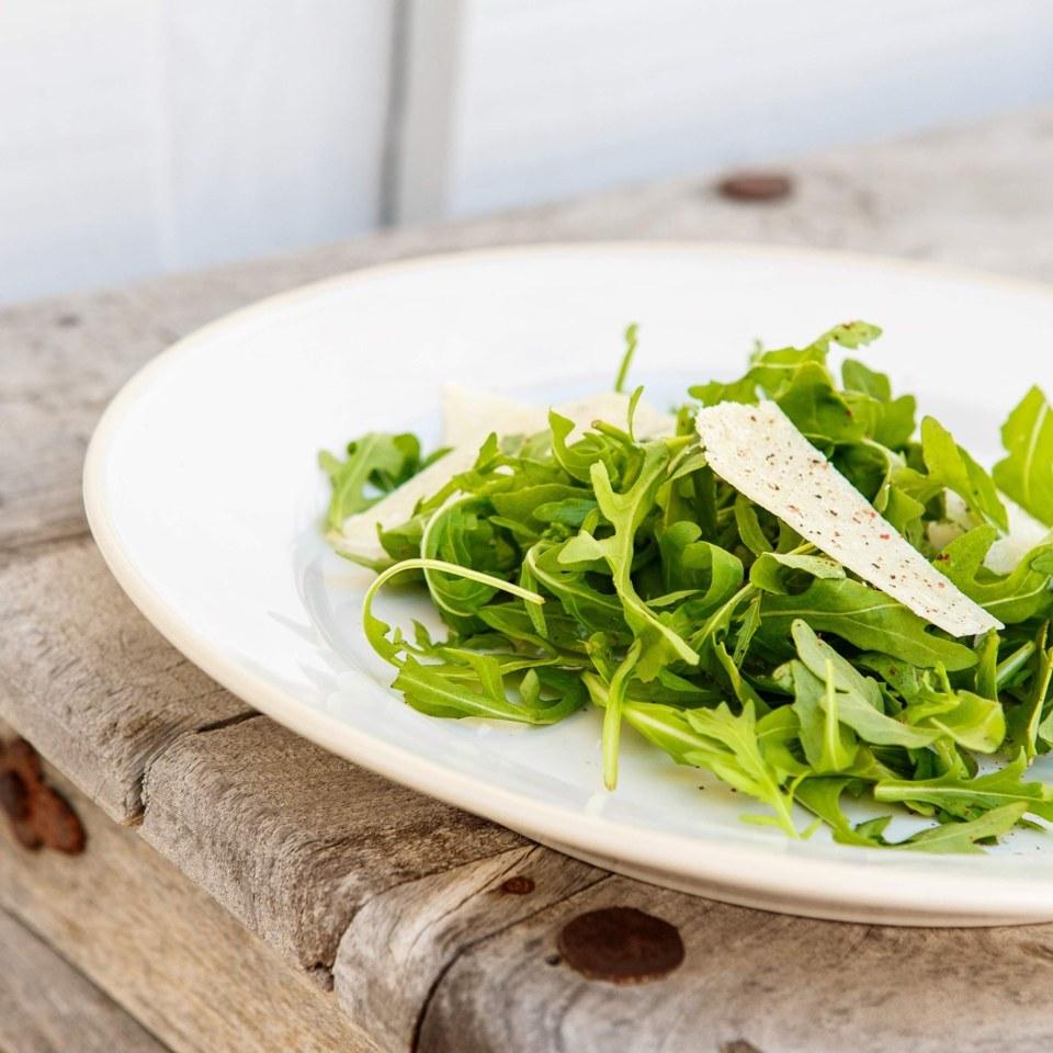 Salad/Dessert Plate 9", White-cream