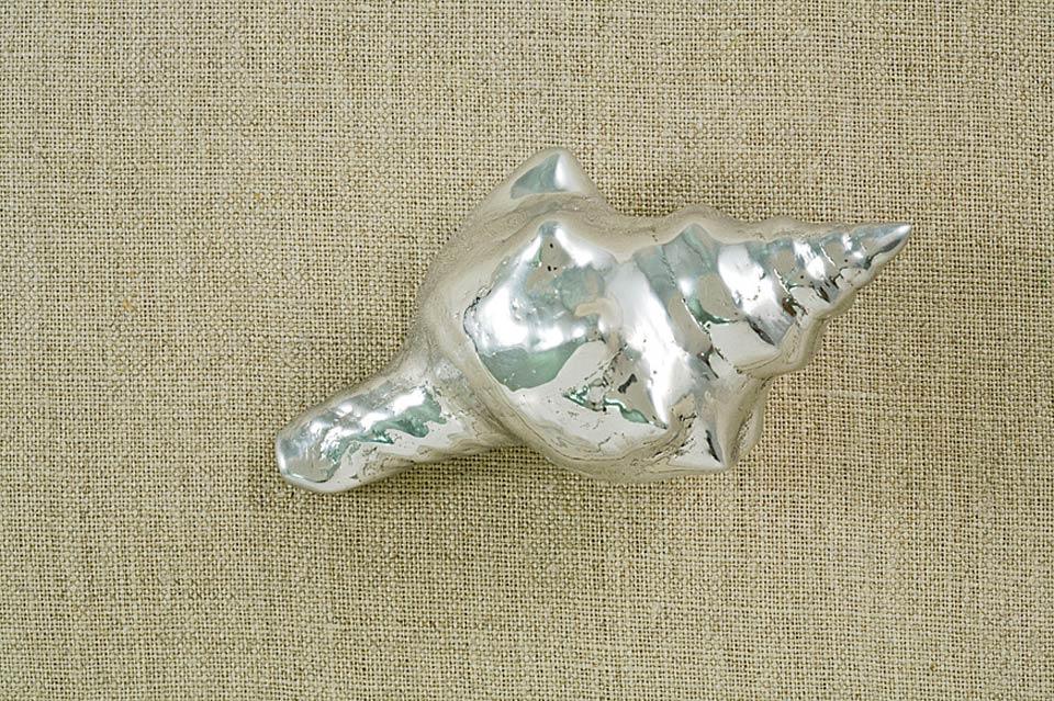 Ocean Shell Weight