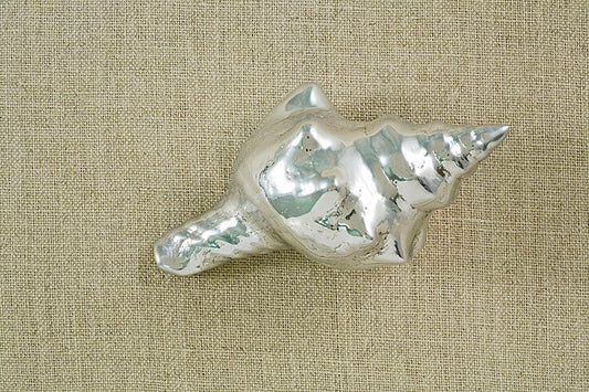 Ocean Shell Weight