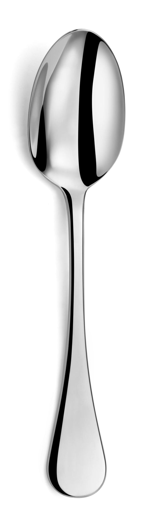 Serving Spoon