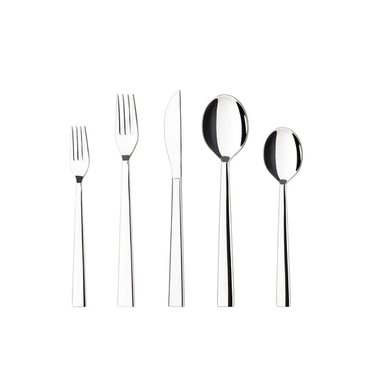 Flatware 5 pieces, Polished