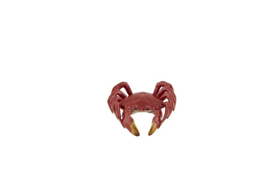 Crab