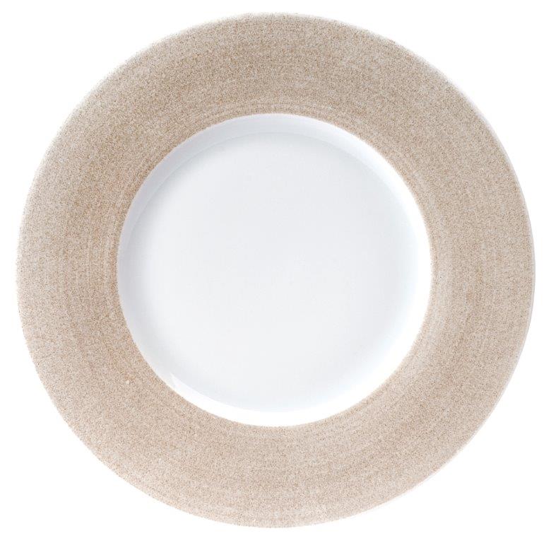 Dinner Plate Large Rim