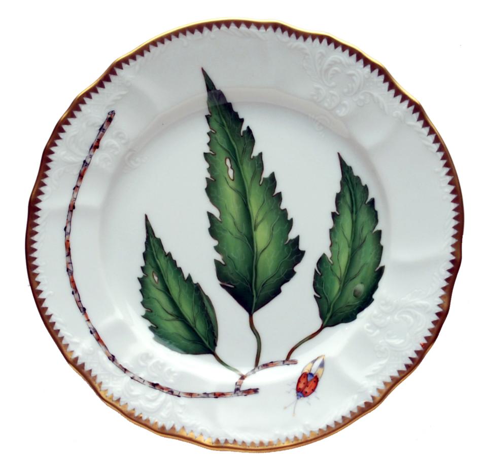 Salad Plate