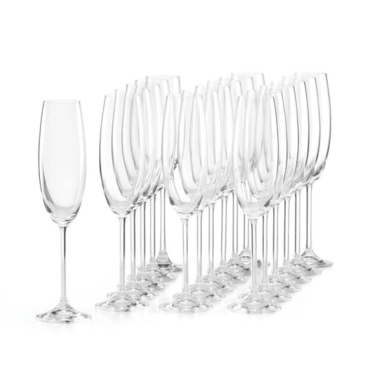 18pc Party Flute Set