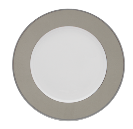 Underplate - Grey and Platinum