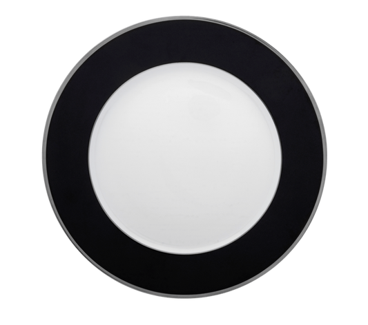 Underplate - Mica Black and Platinum