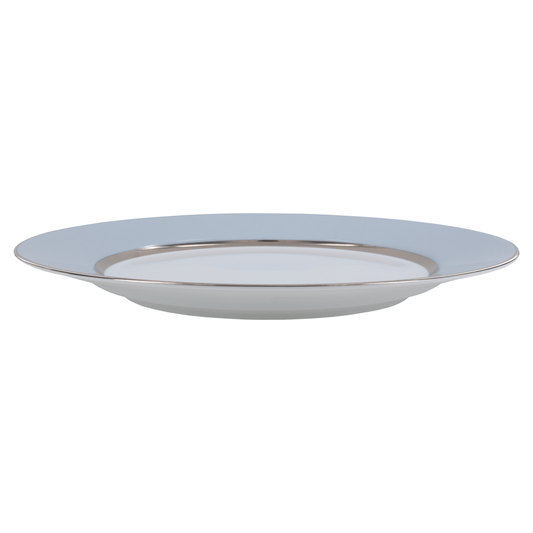 Dinner plate