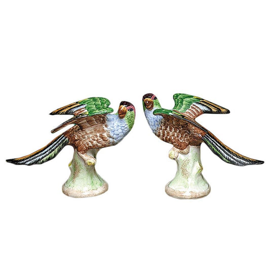 Parakeets, Pair