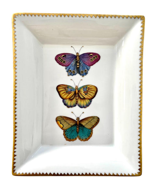 Exotic Butterflies Tray