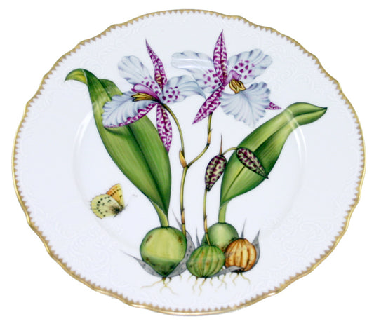 Dinner Plate #2