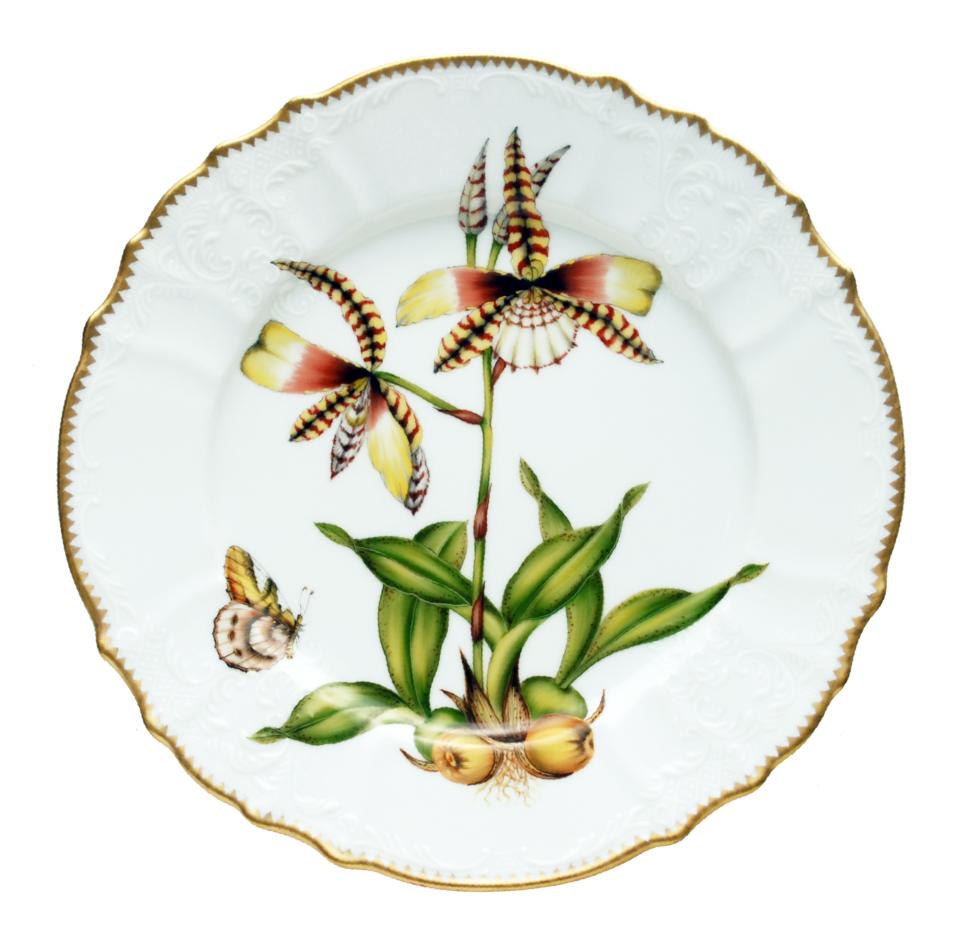 Dinner Plate #4