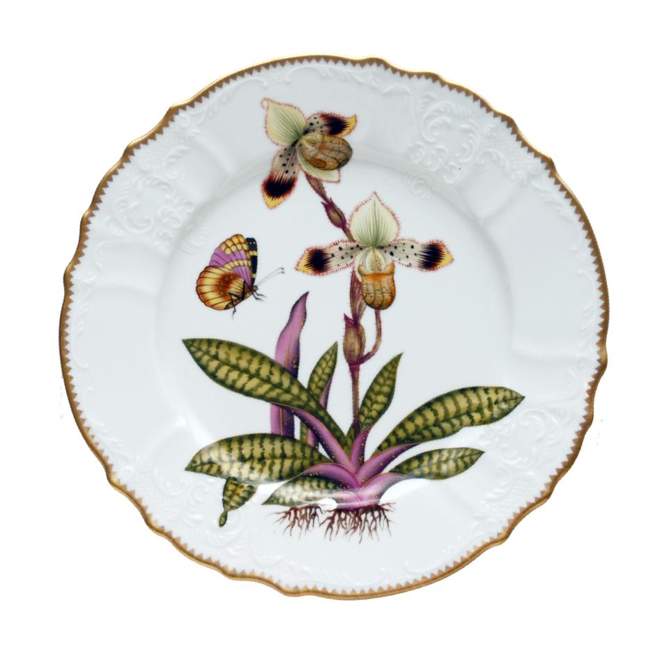 Dinner Plate x23;5