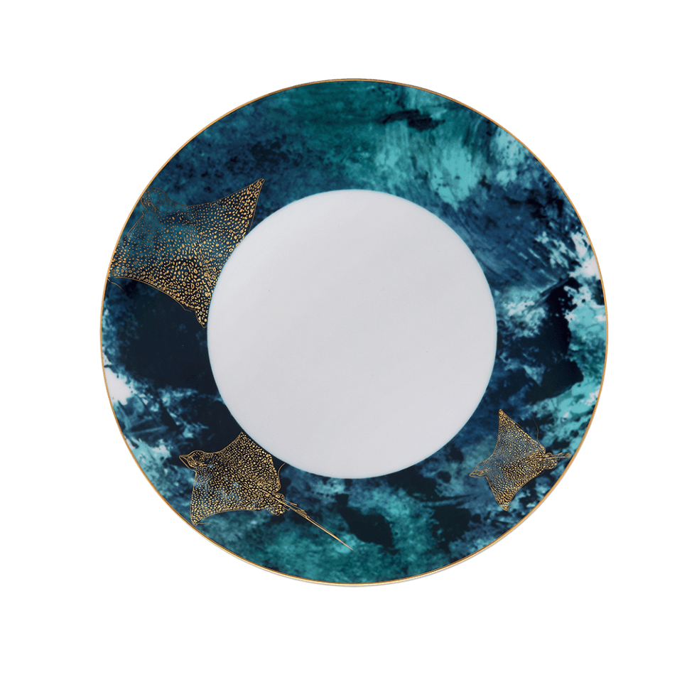 Large Dinner Plate