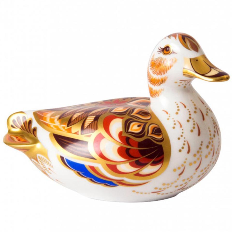 Wigeon Duck