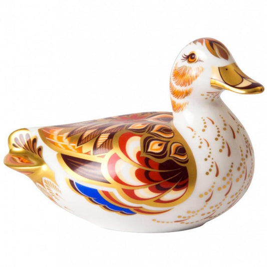 Wigeon Duck