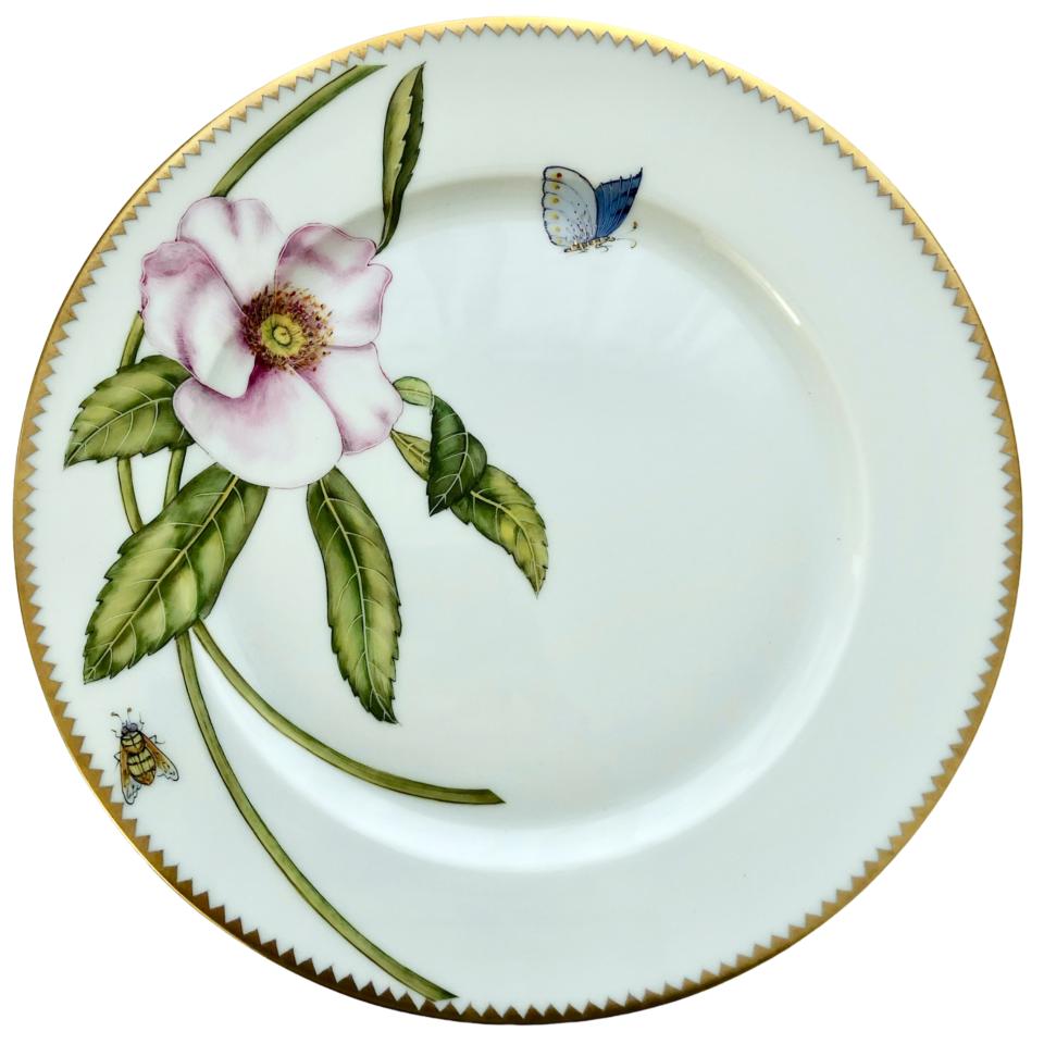 Dinner Plate